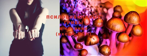 соль курить ск Верея